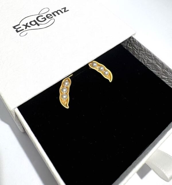 Earrings for Good Things to Happen - Image 3